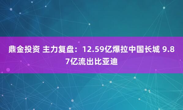 鼎金投资 主力复盘：12.59亿爆拉中国长城 9.87亿流出比亚迪
