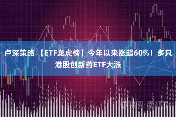 卢深策略 【ETF龙虎榜】今年以来涨超60%！多只港股创新药ETF大涨