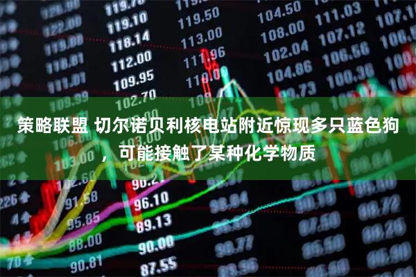 策略联盟 切尔诺贝利核电站附近惊现多只蓝色狗，可能接触了某种化学物质