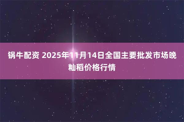 锅牛配资 2025年11月14日全国主要批发市场晚籼稻价格行情