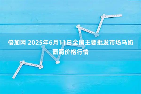 倍加网 2025年6月11日全国主要批发市场马奶葡萄价格行情