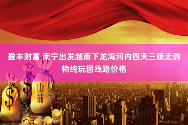 盈丰财富 南宁出发越南下龙湾河内四天三晚无购物纯玩团线路价格